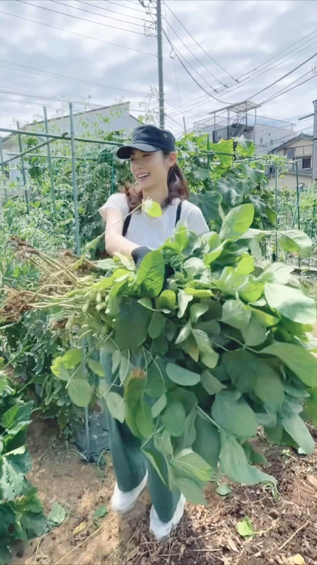 加藤侑紀のインスタグラム：「家庭菜園🌱  #えだまめ栽培  #自家製枝豆  #小菜園 #小農場 #日本毛豆  #自己種菜 #アーシング👣 #レンタル農園  #借り畑 #自家製野菜栽培 ＃自己種菜自己吃  #自給自足的生活  #自給自足への道 #野菜作り楽しい  #土作りから #自給自足の生活  #種菜日記  #農婦  #農業女子  #地球と繋がる  #新しい趣味始めました#地球とつながる #健康的な暮らし #ママ孝行 #台日ハーフ #台日混血兒  #台湾ハーフ #台日友好 ■ #日本女演員 ＃私の日常生活 #我的日常生活 ＃學日語」