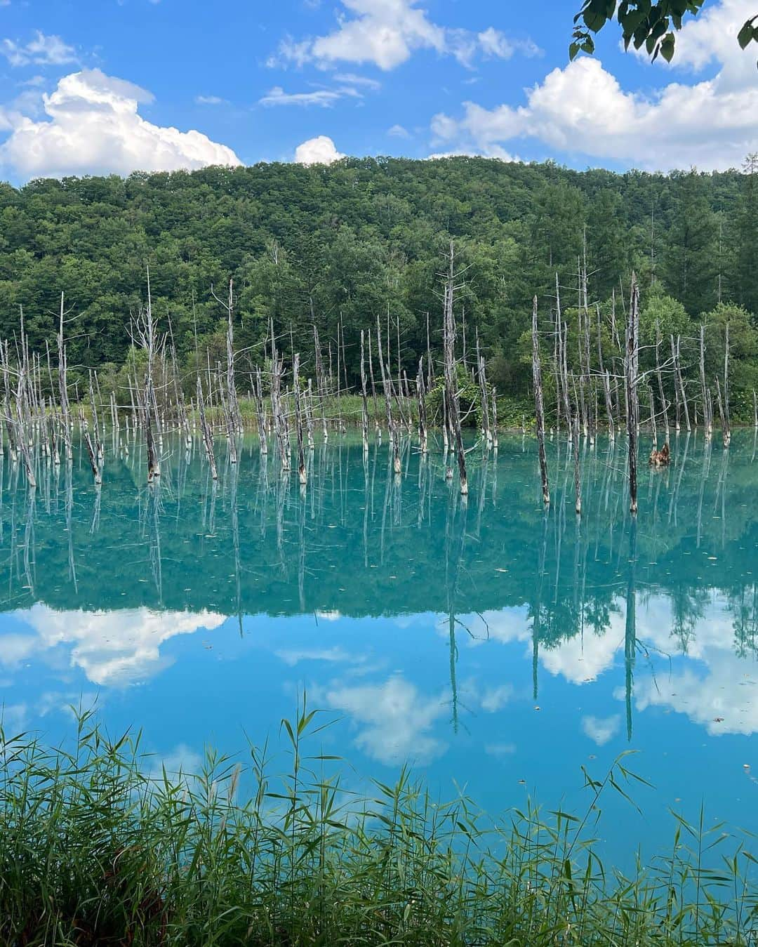 木村伊吹さんのインスタグラム写真 - (木村伊吹Instagram)「HOKKAIDO✈️」8月27日 20時22分 - ibuki.kimura