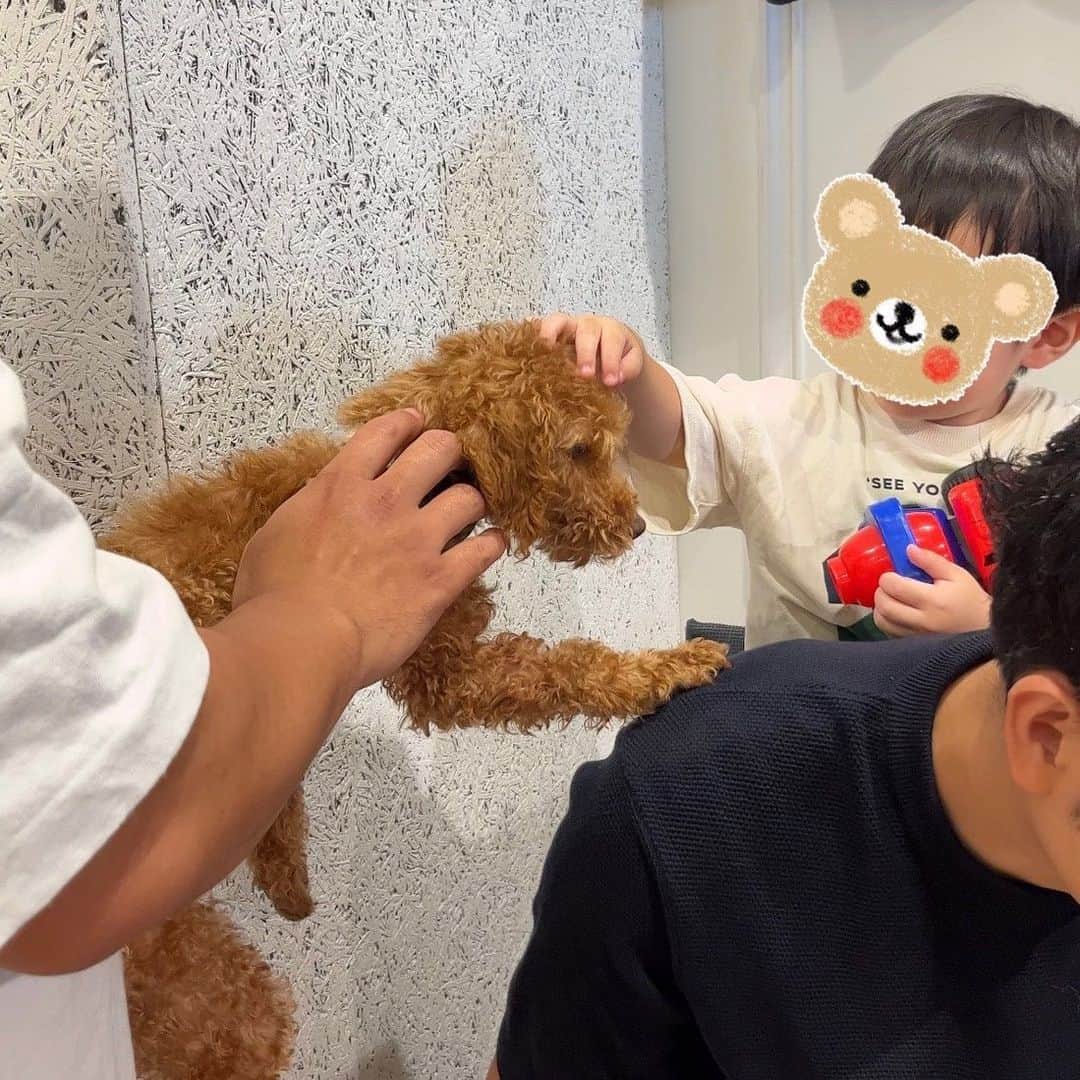 川田裕美のインスタグラム：「家族ぐるみで仲のいい友人のところへ遊びに✨😊 今年、保護犬たちと里親を繋ぐ場所『HOGOKEN TOKYO』をオープンしたんです。 室内ドッグラン、カフェ、しつけ教室なども併設していて、とても清潔でワンちゃんたちものびのび遊んでいました🥰🐕 息子も触れ合わせてもらって、いろんな刺激をもらったみたい👦  友人が毎日愛情を持ってお世話をしているので、愛情を持った方々に出会ってくれるといいなぁ✨🐕  #hogoken #hogokentokyo」