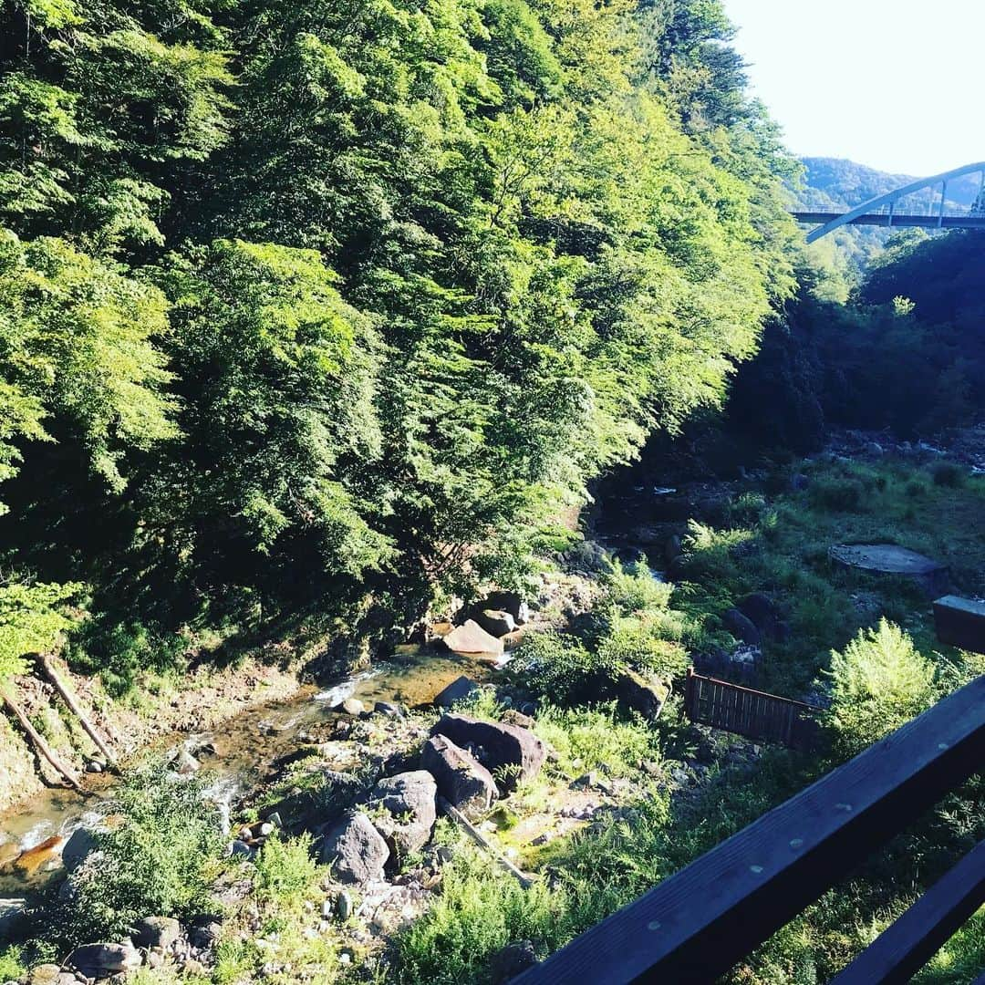 三隅有里子さんのインスタグラム写真 - (三隅有里子Instagram)「* 夏の終わりにようやく夏休みの思い出が出来ました🌻 お隣栃木県日光市にある秘湯・奥鬼怒温泉「加仁湯」に行ってきました。日光国立公園内にあり、宿周辺はマイカー規制が敷かれていて、バスに乗り換えてようやく辿り着きます。 とにかく温泉で癒されたい！と当日昼過ぎにチェックインして、翌日の11時半頃のバス出発まで露天風呂から内湯、きき湯まで全てのお風呂を周って秘湯を満喫しました♨️標高1300メートルにある避暑地でもあり、エアコンなしでぐっすり眠れたのは久しぶりで、夏の疲れもとれました！温泉を使った朝ごはんのお粥もおいしかった😋 それにしても、温泉に対しても仕事に対しても同じ熱量でいられる元同僚、福島放送の安藤アナの存在が私の1番の元気の源です🥺 復活した！  #秘湯 #温泉 #♨️ #奥鬼怒温泉 #加仁湯 #日光国立公園内 #夏休み #休日 #off #群馬テレビ #群テレ #gtv #アナウンサー #局アナ #局アナの仕事 #地方局で働くということ」8月27日 20時30分 - misumi_gtv