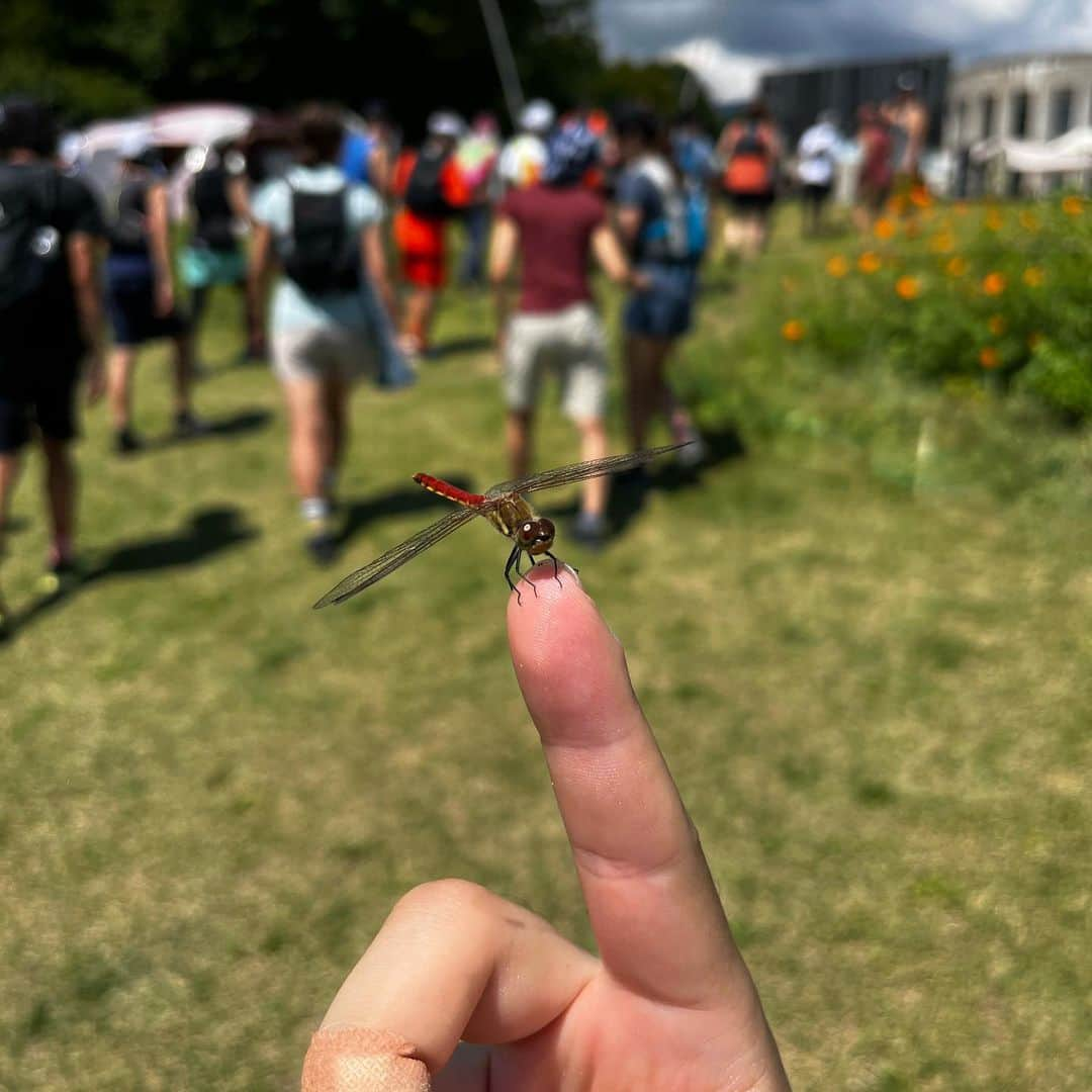 重盛赳男さんのインスタグラム写真 - (重盛赳男Instagram)「白馬岩岳登ってきました⛰️ 記録見たら8月ほぼ初ラン…😇  #ヤッホートレイルランニングツーリング #teamthrob #hungerknockoriginals #fullmarkshakuba #トレイルランニング #トレラン #重盛赳男 #日焼けは一人前に気にする #アナウンサー」8月27日 20時39分 - shigemoritakeo