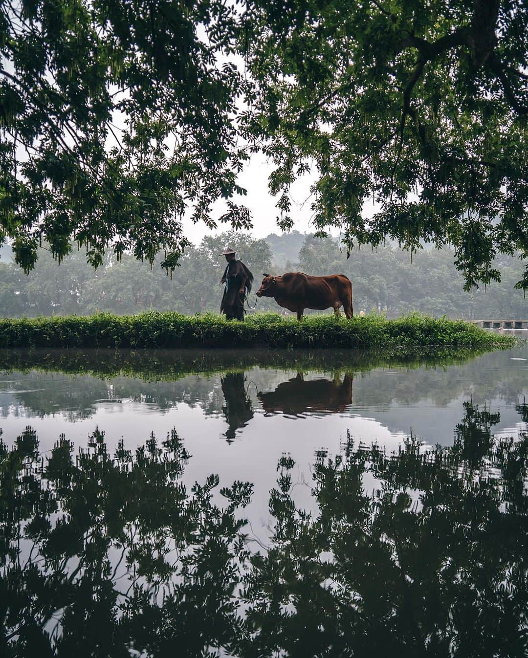 R̸K̸さんのインスタグラム写真 - (R̸K̸Instagram)「SUMMER DAZE / Nick Holder 1999 ・ ・ ・ #beautifuldestinations #earthfocus #earthbestshots #earthoffcial #earthpix #thegreatplanet #discoverearth #roamtheplanet #ourplanetdaily #nature #tentree #livingonearth  #theglobewanderer #awesome_photographers #wonderful_places #TLPics #designboom #voyaged #sonyalpha #bealpha #travellingthroughtheworld #d_signers #lonelyplanet #luxuryworldtraveler #fromwhereidrone #onlyforluxury #nightphotography #lovetheworld @sonyalpha  @lightroom @soul.planet @earthfever @9gag @paradise  @natgeotravel @awesome.earth」8月27日 21時00分 - rkrkrk