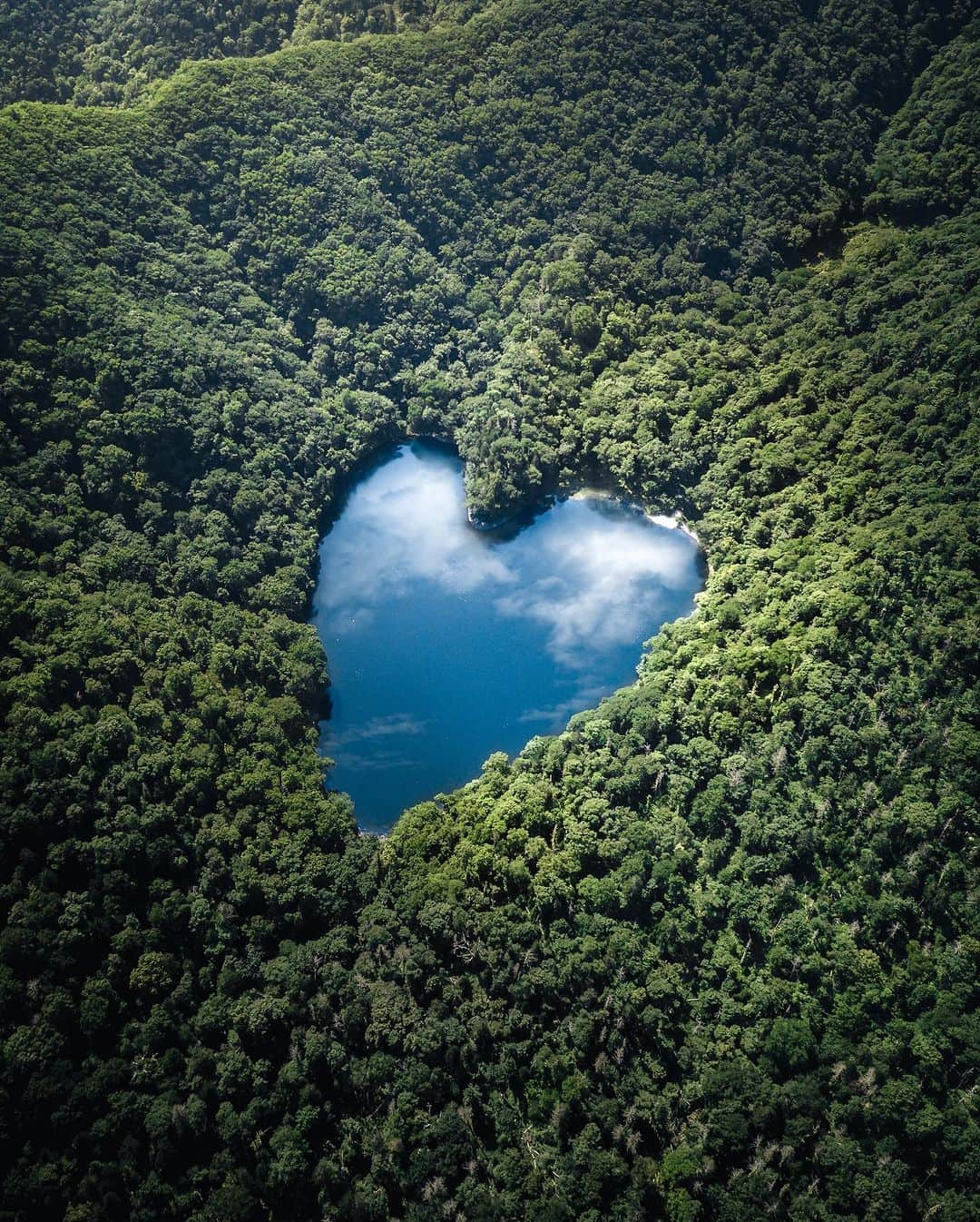 R̸K̸さんのインスタグラム写真 - (R̸K̸Instagram)「SUMMER DAZE / Nick Holder 1999 ・ ・ ・ #beautifuldestinations #earthfocus #earthbestshots #earthoffcial #earthpix #thegreatplanet #discoverearth #roamtheplanet #ourplanetdaily #nature #tentree #livingonearth  #theglobewanderer #awesome_photographers #wonderful_places #TLPics #designboom #voyaged #sonyalpha #bealpha #travellingthroughtheworld #d_signers #lonelyplanet #luxuryworldtraveler #fromwhereidrone #onlyforluxury #nightphotography #lovetheworld @sonyalpha  @lightroom @soul.planet @earthfever @9gag @paradise  @natgeotravel @awesome.earth」8月27日 21時00分 - rkrkrk