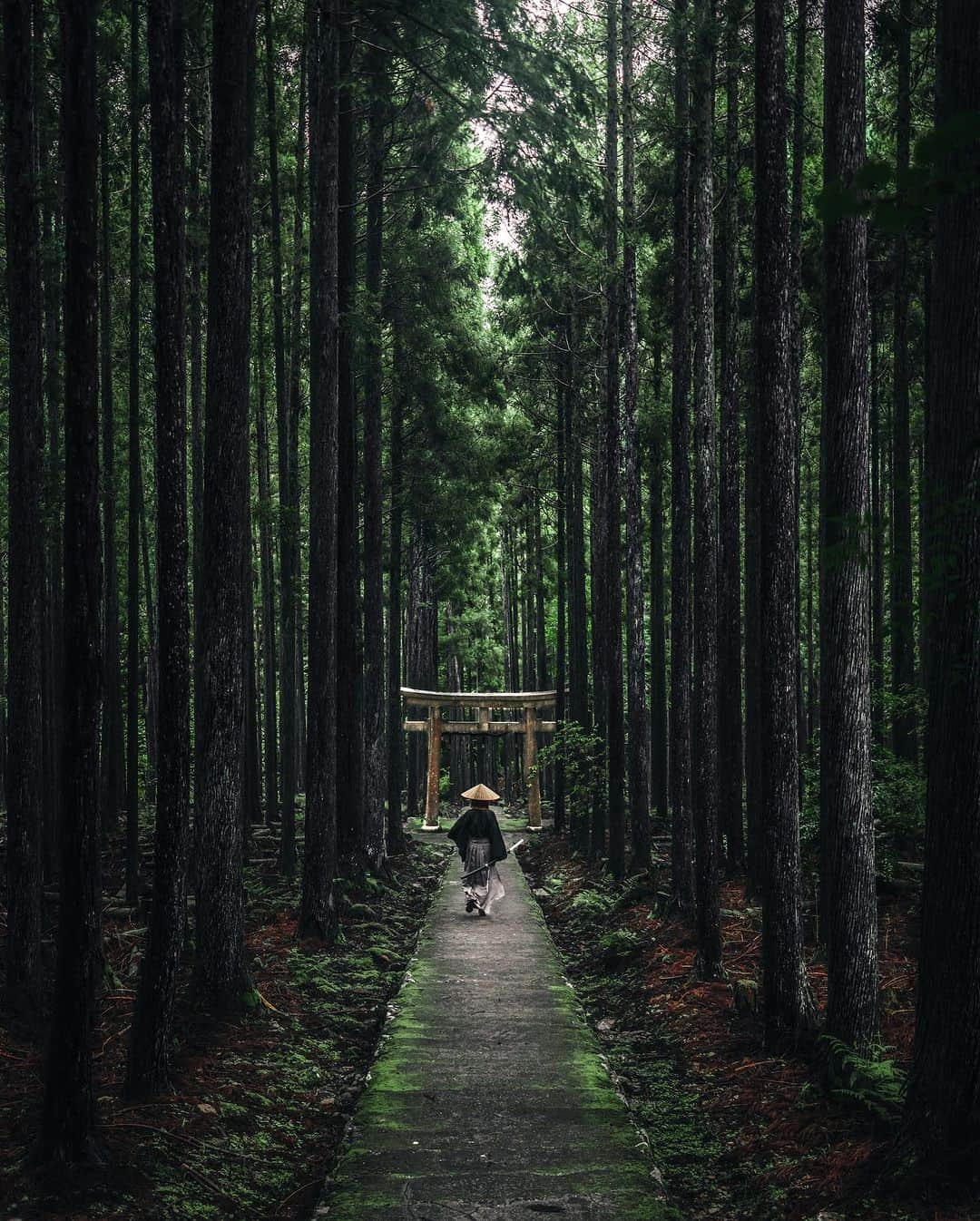 R̸K̸さんのインスタグラム写真 - (R̸K̸Instagram)「SUMMER DAZE / Nick Holder 1999 ・ ・ ・ #beautifuldestinations #earthfocus #earthbestshots #earthoffcial #earthpix #thegreatplanet #discoverearth #roamtheplanet #ourplanetdaily #nature #tentree #livingonearth  #theglobewanderer #awesome_photographers #wonderful_places #TLPics #designboom #voyaged #sonyalpha #bealpha #travellingthroughtheworld #d_signers #lonelyplanet #luxuryworldtraveler #fromwhereidrone #onlyforluxury #nightphotography #lovetheworld @sonyalpha  @lightroom @soul.planet @earthfever @9gag @paradise  @natgeotravel @awesome.earth」8月27日 21時00分 - rkrkrk