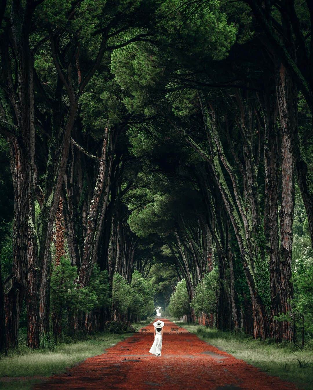 R̸K̸さんのインスタグラム写真 - (R̸K̸Instagram)「SUMMER DAZE / Nick Holder 1999 ・ ・ ・ #beautifuldestinations #earthfocus #earthbestshots #earthoffcial #earthpix #thegreatplanet #discoverearth #roamtheplanet #ourplanetdaily #nature #tentree #livingonearth  #theglobewanderer #awesome_photographers #wonderful_places #TLPics #designboom #voyaged #sonyalpha #bealpha #travellingthroughtheworld #d_signers #lonelyplanet #luxuryworldtraveler #fromwhereidrone #onlyforluxury #nightphotography #lovetheworld @sonyalpha  @lightroom @soul.planet @earthfever @9gag @paradise  @natgeotravel @awesome.earth」8月27日 21時00分 - rkrkrk