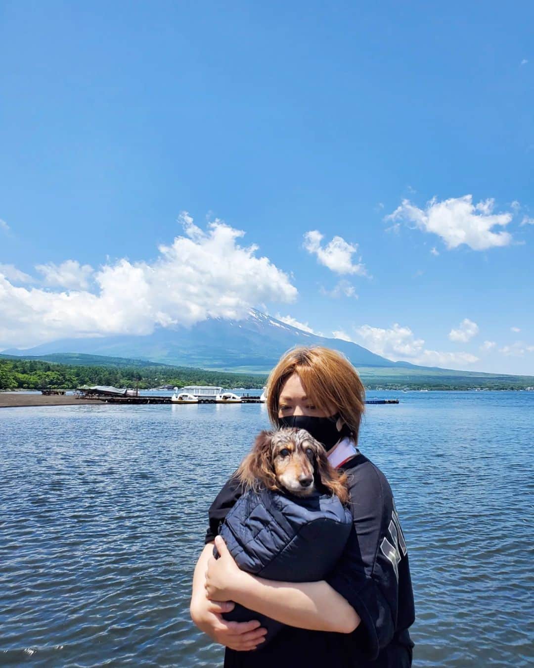 のインスタグラム：「山中湖、一緒にたくさん行った。 富士山も一緒に沢山見た。 湖で遊ぶ事が、湖にいる事が とっても楽しそうだった。 若い時から行き、 そしてハイシニアになり・・・ . 最後の写真、 旅立つ9日前に山中湖行けた。 . 連れて行けてよかった。 本当に。 . . . . ●0時にブログ更新予定 【お留守番犬・ホッピーの日々】 . . . #虹の橋 #虹組 #18歳8ヶ月と6日🌈 . ・････━━━━━━━━━━━････・ #ダックスフンド #ダックス #ミニチュアダックス #チョコダップル #dachshund #dachs #dog #dogstagram  #instadog #高齢犬 #一人と一匹 #お留守番犬 #留守番犬 #dogwheelchair #失明犬 #お留守番犬ホッピーの日々 #老犬 #シニア犬 #老犬ダックス #老犬との暮らし #ハイシニア犬 #虹組🌈 #虹組2023 #2004年組 ・････━━━━━━━━━━━････」