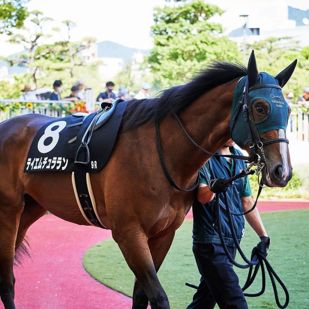 石川彩夏のグルメインスタ