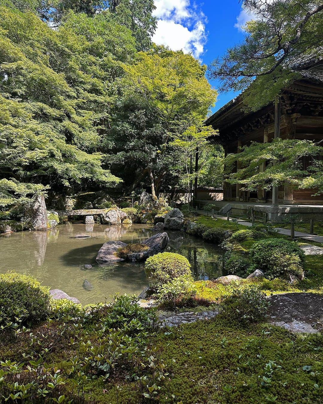 小澤楓さんのインスタグラム写真 - (小澤楓Instagram)「東京のお客様ありがとうございました♡  京都に帰ってきて、今日はお休みだったので夫と2人で京都を巡る会をしました🫱🏻‍🫲🏼 今週から神社か寺を巡ることにして、京都生活が楽しくなりそうです♡  今日は、 #九頭竜大社  #崇道神社  #蓮華寺   に行ってきました。  蓮華寺は本当に素晴らしい庭で涼しかったらずっと居たい場所でした。  京都観光のことも更新していこうと思います♡ お楽しみにっ⛩️  #京都観光#京都 #kyoto#神社巡り #パワースポット#お寺巡り」8月27日 21時30分 - kaede_cyori