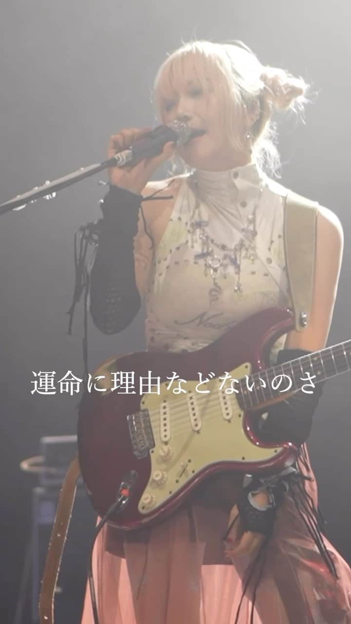 中村未来のインスタグラム：「運命に理由などないのさ どうか美しく育てて咲かせて ⁡ 〝SAKURA BURST〟 ┈┈┈┈┈┈┈┈┈┈ 🪷9月から全国ツアー開始🪷 チケットはプロフのリンクから ⁡ #coshulive #coshunie #コシュニエ  #AX2023 #jrock #geassp #コードギアス  #tokyo #フェス #ライブ参戦  #ロックバンド」