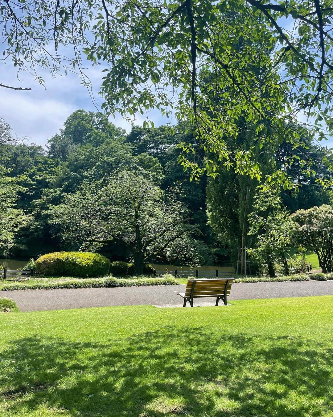 武田玲奈さんのインスタグラム写真 - (武田玲奈Instagram)「自然を求める🌳🌿🍃 定期的に摂取したい、、🌲」8月27日 21時46分 - rena_takeda