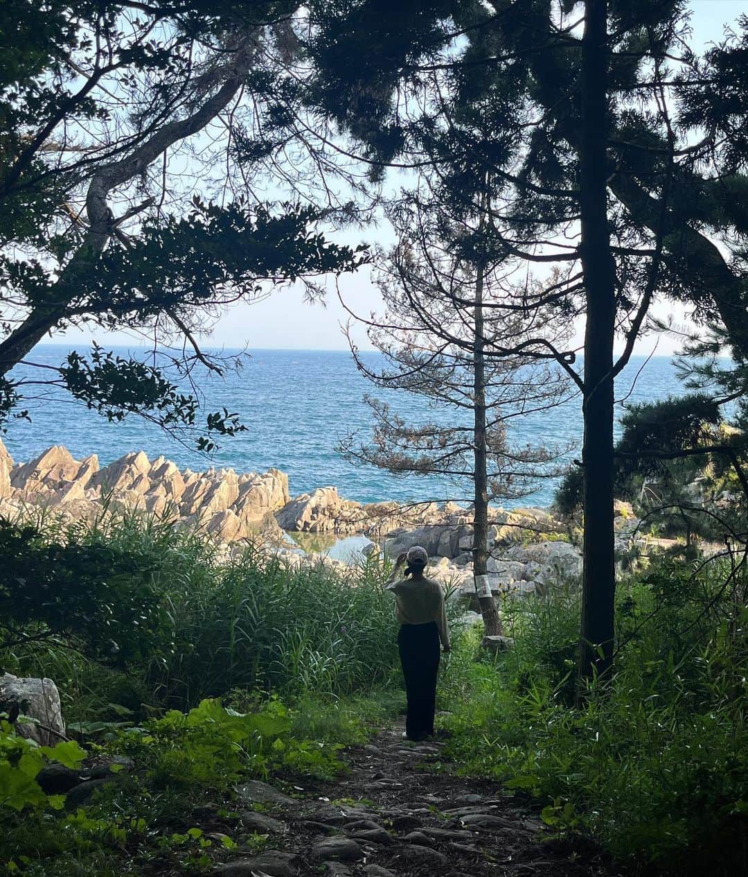 仮屋未来さんのインスタグラム写真 - (仮屋未来Instagram)「陸前高田市の広田崎🐚 ⁡ 広田半島の南端にある岩礁の岬です🏝 ⁡ 足場の悪い林のなかを 歩いて抜けると‥ 一気に視界が開けて 大きな海原が目の前に広がりました😳 ⁡ 奥に見えている小さな島は 岩手県の南端の椿島です☀︎ ウミネコ🕊の繁殖地で 5〜6月にはたくさんのウミネコが 集まるそうです♪ ⁡ とっても静かでひっそりとした場所に‥ 素敵な景色を見つけられて うれしい気持ちになりました🥹💛 ⁡ 今度は夕日を見に 遅い時間にも行ってみたいです🌞」8月27日 22時00分 - miku__kariya