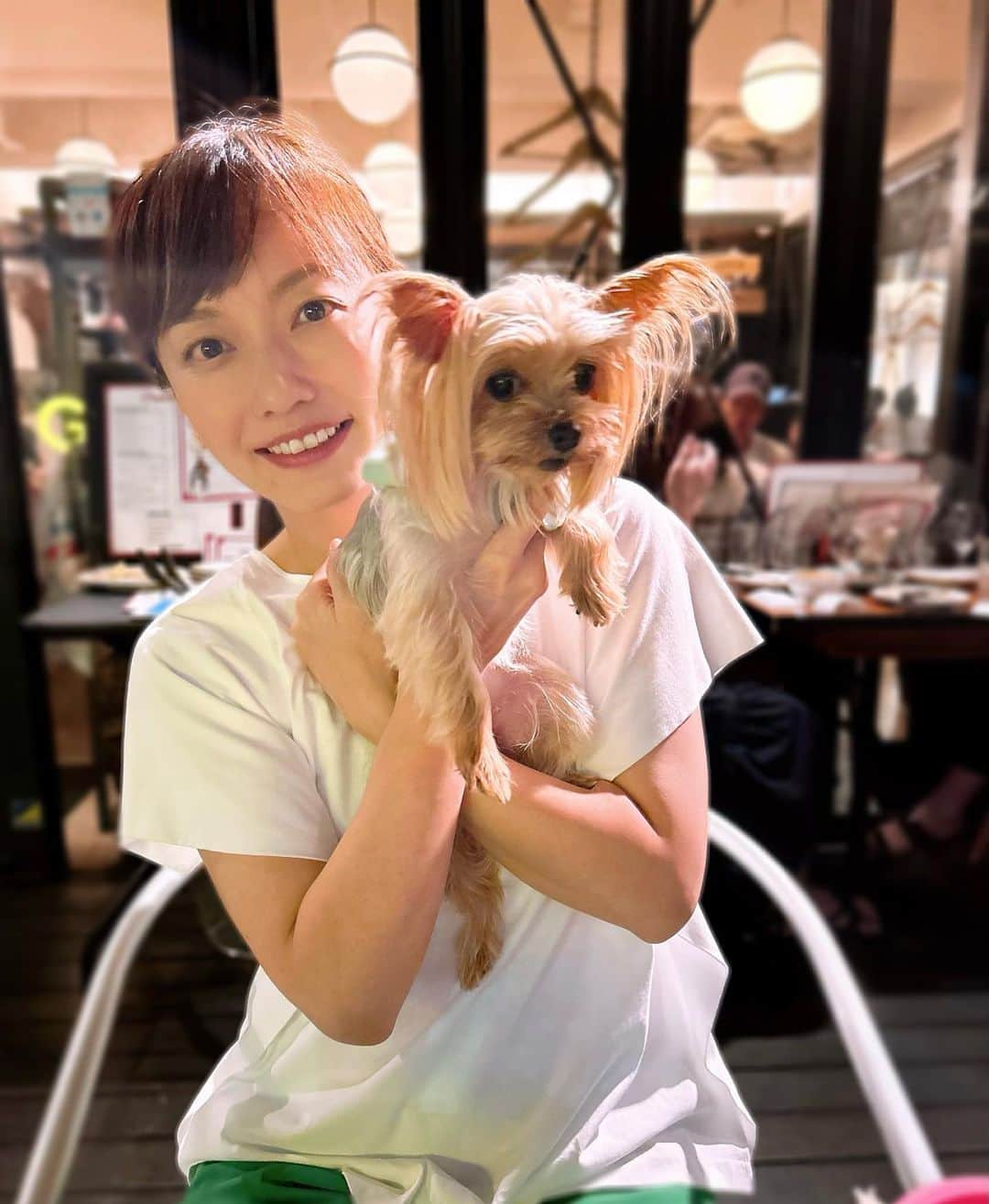 島本真衣のインスタグラム：「今日はAnge8歳の誕生日でした🎂 一日一緒に過ごせました🤍  バスケットボール🏀W杯フィンランド戦を観る私の隣でAngeはスヤスヤ寝ています💤　 頑張れ‼️日本🇯🇵 明日からまた頑張りましょう🍀  #いぬすたぐらむ  #犬 #dog #ヨークシャテリア #誕生日 #おめでとう #長生きしてね」