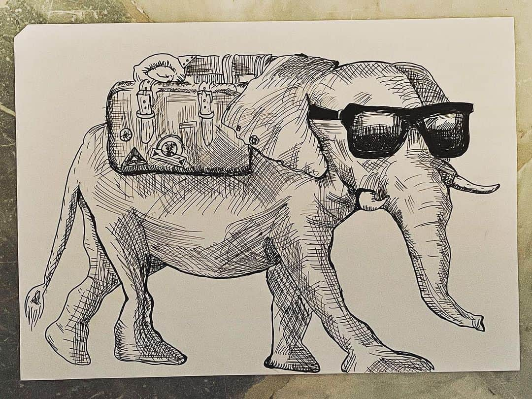 ガブリエル・マクトさんのインスタグラム写真 - (ガブリエル・マクトInstagram)「Going thru some papers and found a #sketch I did a few years back. #ilikedrawing #specs #elephants #are #cool and so are #hashtags」8月27日 22時11分 - iamgabrielmacht