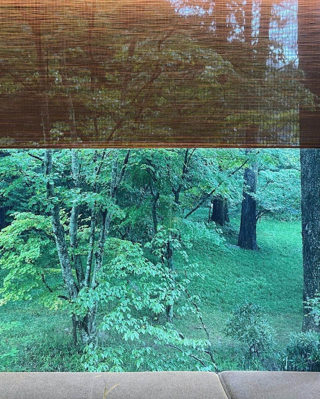 大田由香梨さんのインスタグラム写真 - (大田由香梨Instagram)「@ritzcarltonnikko へ 男体山の麓、中禅寺湖の湖畔、奥日光  氣の流れる特別な場所に位置しており 滞在中も、刻一刻と流れる景観の変化がとても美しく。  滞在中は、Spaや温泉に癒され。  食事も日光ならではの季節の食事を頂き。  ふと窓の外を見るとお猿さんがお庭を散歩しており🐒  夜はBarでウィスキーを呑みながら みんなと語らう時間。少し大人になったのかな❤︎   なんとも至福の時間でした🕊  たった一日の滞在で、こんなにもゆったりと力が抜けるとは思ってもなく。また必ず、今度は相方さんも一緒に行きたい場所となりました🫶🏻  とにかく、全てのセンスがよく。 インテリア、アート、色調が全て合っており、素材のテクスチャーや光の優しさにこだわりを感じ  長期滞在したくなる心地よさ。  秋の紅葉が日光のイメージでしたが、35度を連日超えている東京と比べて、10度くらい気温が違い、肌寒く感じるほどの避暑地。  春夏秋冬の景色の移り変わりを想像するだけで豊かさを感じます。  日本には素晴らしい風土が沢山あり、 その風土がもつエネルギーの力を借りて、 自身を癒すことができる。  日光には水と風のエネルギーが流れており、潤い深く呼吸ができたような気がします。  次は冬に来ようね！と🕊  とてもステキな一日となりました🫶🏻 次回もとてもとても楽しみです🫶🏻  @ritzcarltonnikko  @daichi_1127  @kanjikobayashi」8月27日 22時30分 - otayukari