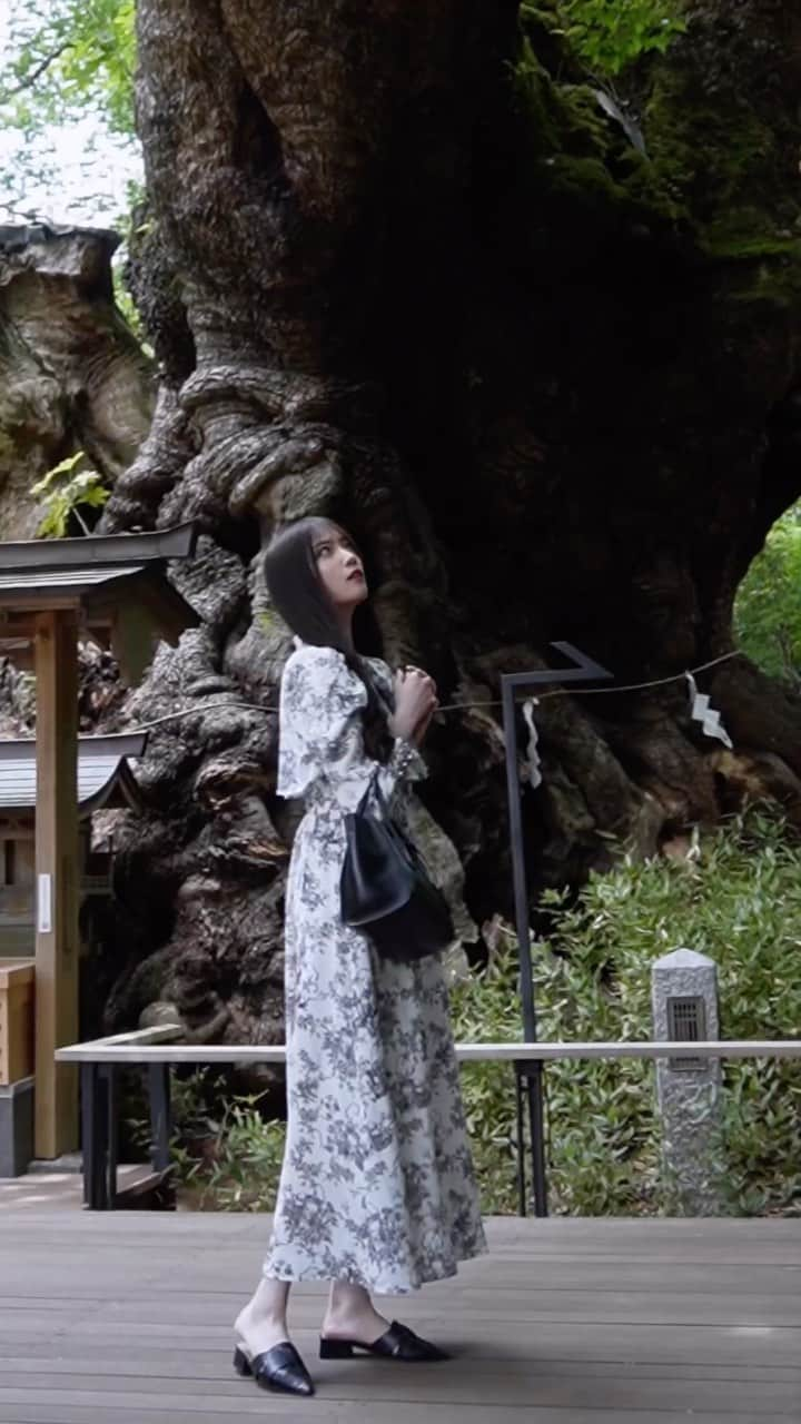 上野瞳のインスタグラム：「熱海旅行ではまず初めての来宮神社に行ったよ⛩ 神社も良かったけど個人的に大楠に感動🥰🥰🥰 神社の奥にあるから行く人は見忘れないで🤣🤣🤣 あとカフェも沢山あって暑い中お参りしたあとに 飲むドリンクは最高だった🥹🥹🥹  #来宮神社 #来宮神社の大楠 #来宮神社カフェ #来宮神社パワースポット #熱海 #熱海旅行 #熱海観光 #熱海カフェ」