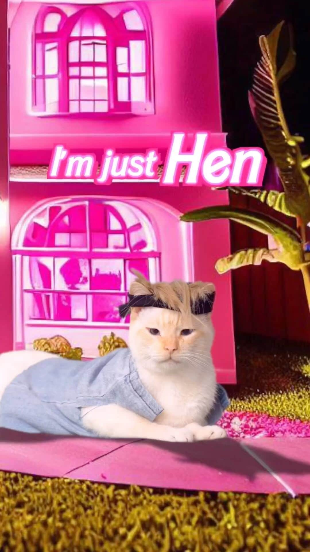 Cats of Instagramのインスタグラム：「From @henrysthoughts: “He’s just Hen.💗😹 Have you seen the Barbie movie yet?” #catsofinstagram」