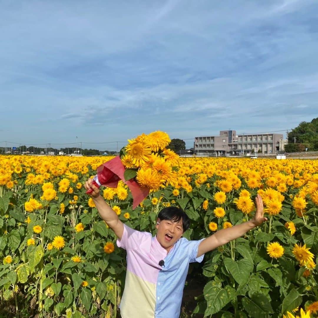 依田司さんのインスタグラム写真 - (依田司Instagram)「8月28日（月） 茨城県筑西市では「あけのひまわりフェスティバル」が開催されています。8月も終わりに来て、今年初めてのひまわり中継。こちらには、珍しい品種のひまわり「東北八重」が、およそ１００万本植えられ、筑波山の手前に黄色い絨毯が広がっています。 「東北八重」は、一般的なひまわりと比べて、種の部分が少なく、中央部まで細かい花が咲き、全体的に濃い黄色になるのが特徴です。自宅でも楽しみたい方には、300円で立派な花束を持ち帰れますよ。今度の日曜日まで。  #あけのひまわひフェスティバル #依田さん #依田司 #お天気検定 #テレビ朝日 #グッドモーニング #気象予報士 #お天気キャスター #森林インストラクター #グリーンセイバーアドバンス #プロジェクトワイルド #IPCC伝導者 #japan #japantrip #japantravel #unknownjapan #japanAdventure #japanlife #lifeinjapan #instagramjapan #instajapan #療癒 #ilovejapan #weather #weathercaster #weatherforecast」8月28日 9時11分 - tsukasa_yoda