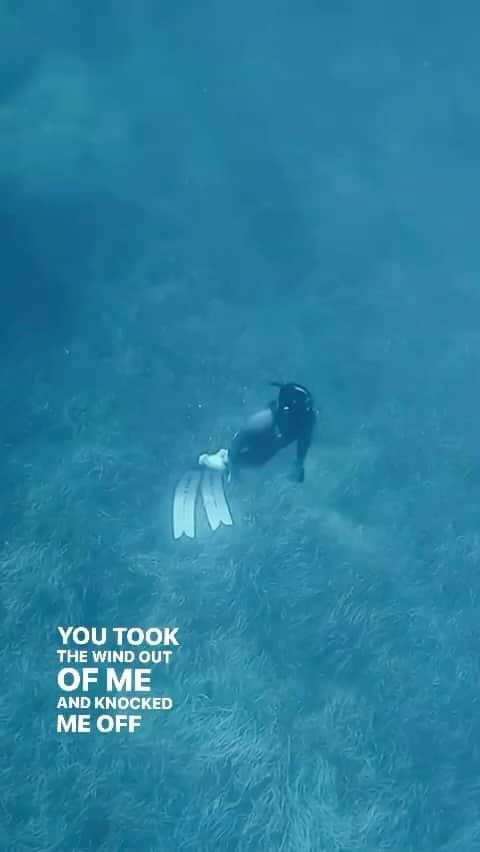 ジャレッド・レトのインスタグラム：「19 DAYS TILL NEW ALBUM IS OUT!!! Click link in bio to presave thanks!!! Been spending more time in the sea. Here’s a little clip from the Mediterranean. 🐬」