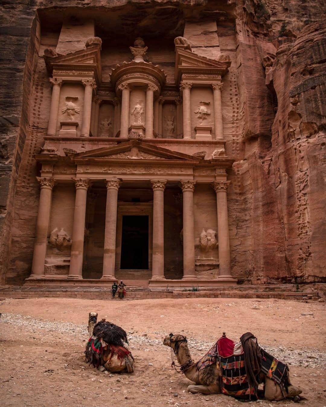 National Geographic Travelさんのインスタグラム写真 - (National Geographic TravelInstagram)「Photo by Muhammed Muheisen @mmuheisen | Camels sit in front of Al Khazneh (the Treasury), one of many facades carved into the mountains of the ancient city of Petra in Jordan.   For more photos and videos from different parts of the world, follow me @mmuheisen.」8月28日 1時30分 - natgeotravel