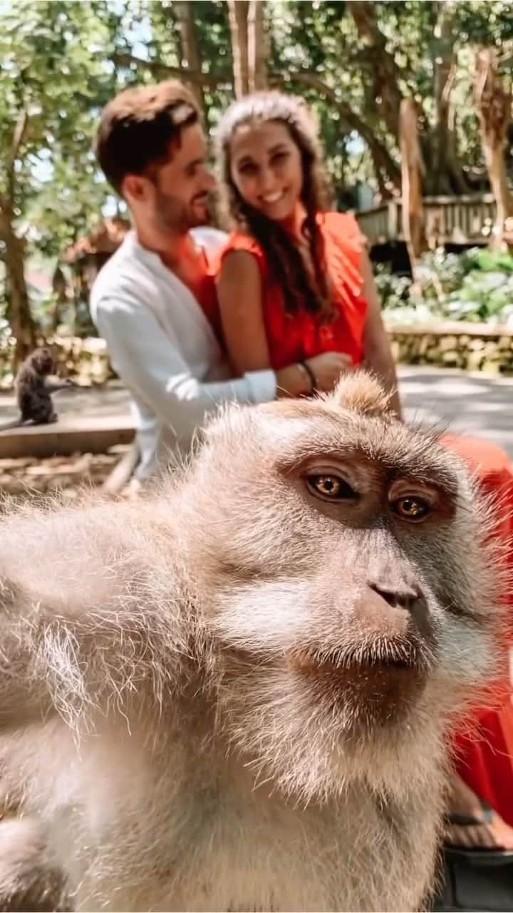 Wonderful Placesのインスタグラム：「@explorerssaurus_ showing us how to take a monkey selfie 😁😁🐵🐵 Would you do it too? 😃🙌🏼 . 📹 ✨@explorerssaurus_✨ 📍 Bali - Indonesia 🇮🇩  #wonderful_places for a feature ♥️」