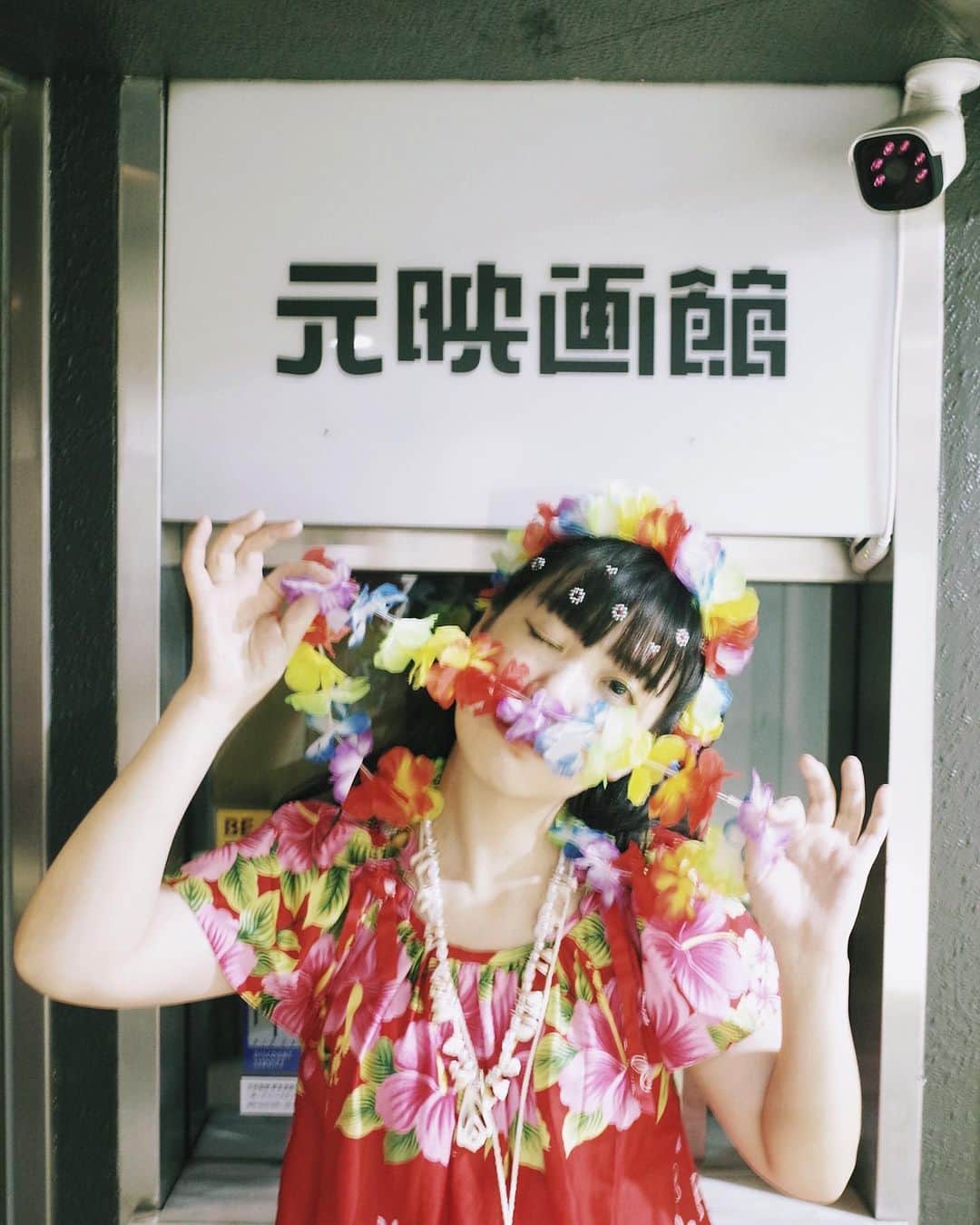永原真夏のインスタグラム：「2023.08.26. (SUN)  トロピカル・ハイサイ in 元映画館  3ヶ月ぶりにトロピカル・ハイサイが集まったのは、「みちくさ」にて。 一日で三回演奏する機会があって、回を追うごとにふかふかと成長する歌とバンドが、いきもののようでした。亜熱帯のいきものかな🐚  デザインチームはTopology。音響はCOMPLEX特製。 夏休み最終日のような1日でした。みなさま、ありがとう！」