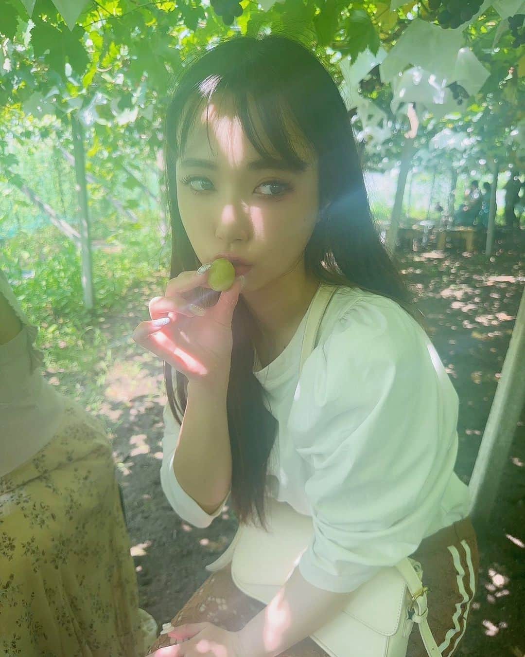 yokoのインスタグラム：「. ぶどう狩り🍇💕 大好きなフルーツいっぱい食べて 自分にも家族にも 沢山フルーツ買って帰ってhappyだった🩷 食べ物の中で一番生フルーツがすき。 . . . .  . . . . . . . . .  #フルーツ #ぶどう狩り #シャインマスカット #山梨 #長野  #エンタメ活動を止めない #burlesque#バーレスク東京#ダンサー#透明少女#ショーダンサー#blue#showdancer#model#hairmake#makeup#love#ootd#fashion#instagood#instalike#instafashion#tokyo#white #오오티디‭#셀카 #お洒落さんと繋がりたい#カメラ好きな人と繋がりたい#モデル#東京」