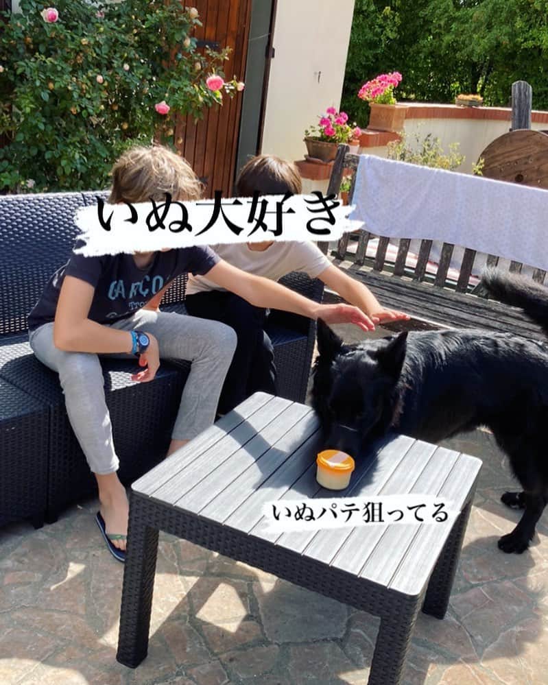 小明のインスタグラム：「仲良くなった犬」
