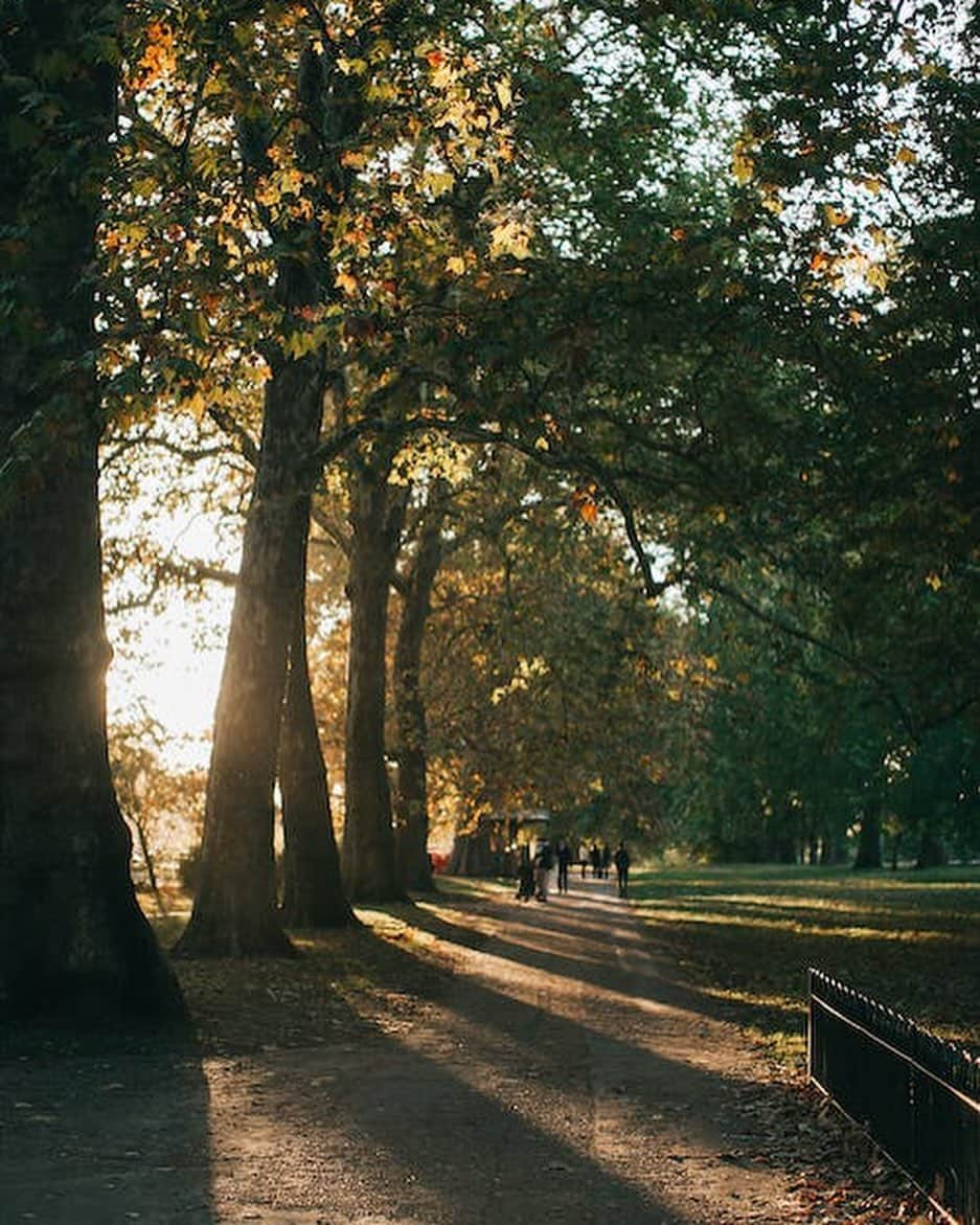 スティーブ・クックさんのインスタグラム写真 - (スティーブ・クックInstagram)「London in good weather is unmatched, It’s simply elite!」8月28日 4時59分 - stevecook