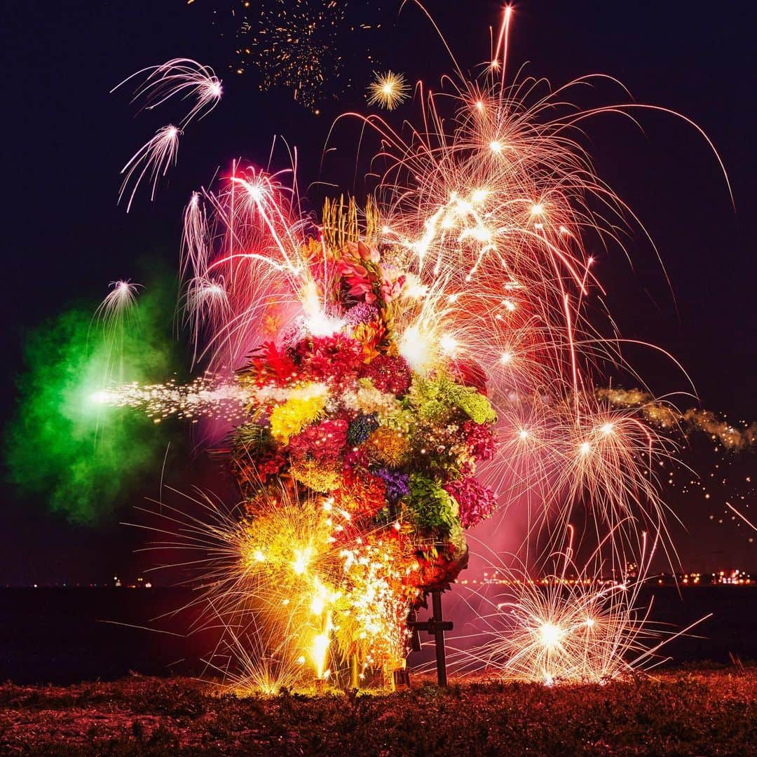 東信のインスタグラム：「Botanical Sculpture “HANABI”  Date : August, 2023 Location: Japan  #azumamakoto  #shiinokishunsuke  #amkk #東信 #東信花樹研究所 #botanicalsculpture #hanabi #花火」