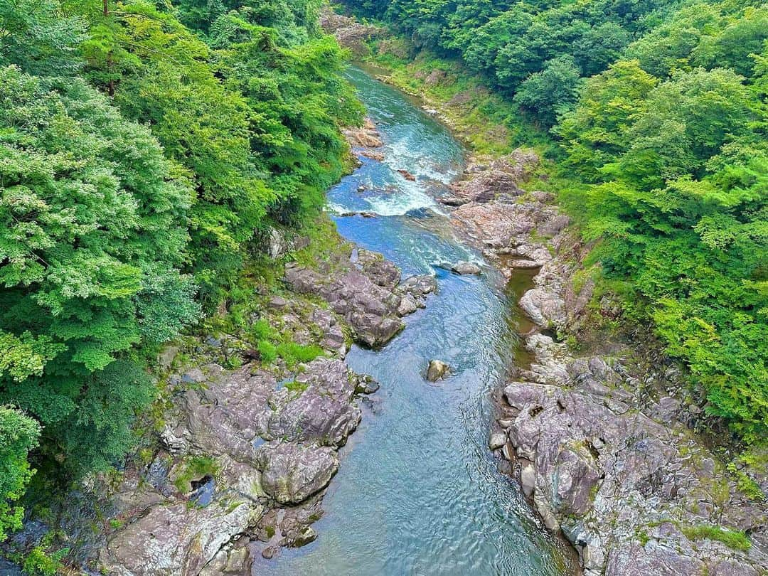 吉山りささんのインスタグラム写真 - (吉山りさInstagram)「🏞 海も好きだけど  川を見ると  毎日1人泳ぎした群馬思い出す😍  ご飯食べて9時過ぎから いつもビキニで泳いでたら地元の人に 『カッパより珍しい』 って言われた🤣  今年は行けなかったけどまた行きたいなぁ🏞  でも写真は鬼怒川😎  湯葉が日光で食べるより鬼怒川のが美味しかった😋💕  #湯葉  #鬼怒川グルメ  #鬼怒川温泉  #鬼怒川  #温泉女子 #温泉旅行  #女子旅 #🏞 #舞茸 の天ぷらも美味しかった😍  #吉山りさ #旅スタグラム  #日本の風景  #日本の景色  #japan」8月28日 7時30分 - oreorerisa