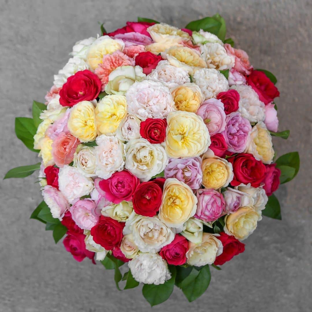 ニコライ・バーグマン・フラワーズ＆デザインさんのインスタグラム写真 - (ニコライ・バーグマン・フラワーズ＆デザインInstagram)「What's your favorite rose color? 🌹 If you cannot decide, this bouquet might just be perfect! ⁠ .⁠ .⁠ .⁠ . . .⁠ #nicolaibergmann #flowerdesign #ニコライバーグマン #フラワーデザイン #北欧デザイン #니콜라이버그만 #꽃다발 #букетцветов #ramosdeflores #blumenstrauß」8月28日 18時53分 - nicolaibergmann