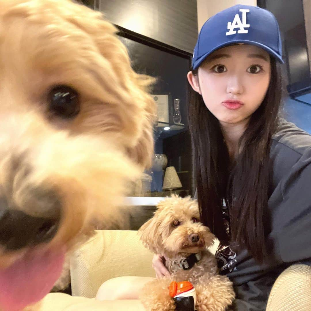 ももかのインスタグラム：「友達のお家のイッヌ🐶 ・ やっぱプードルも可愛い🥹 ・ #犬しか勝たん #猫も好きです #ムツゴロウさんになりたい」