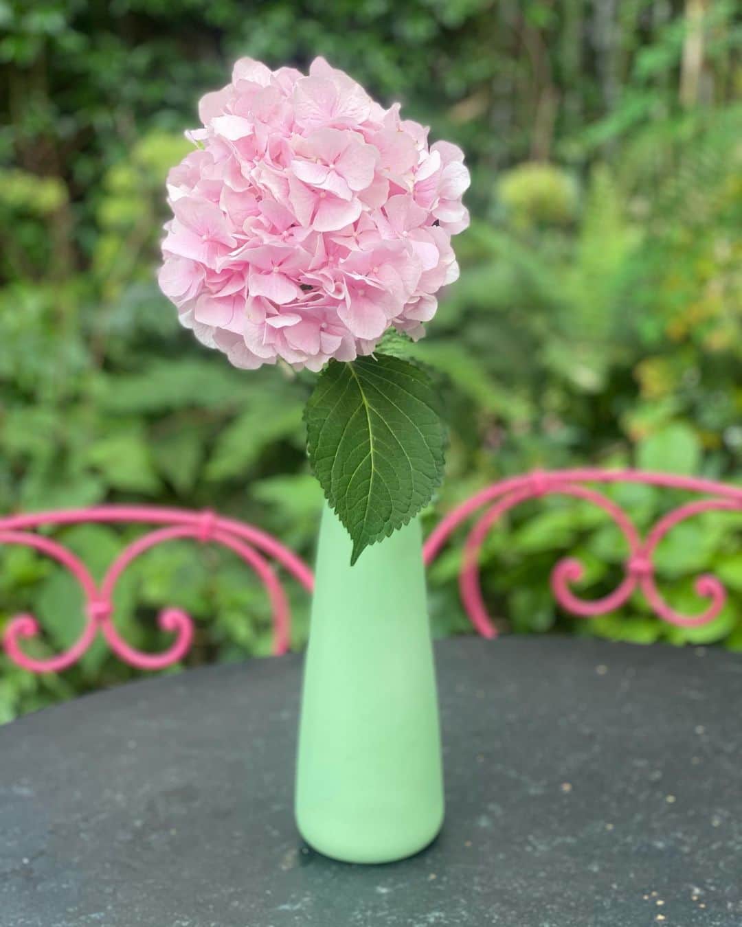 ナイジェラ・ローソンさんのインスタグラム写真 - (ナイジェラ・ローソンInstagram)「Pink hydrangea in my green @mudaustralia jug: such beauty!」8月28日 17時48分 - nigellalawson
