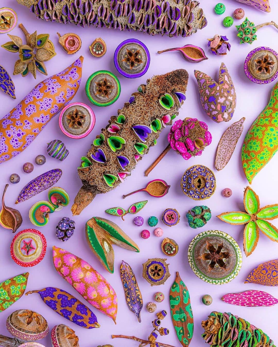 のインスタグラム：「beautiful botanicals ~ by seedpod artist @hello.chelsart」