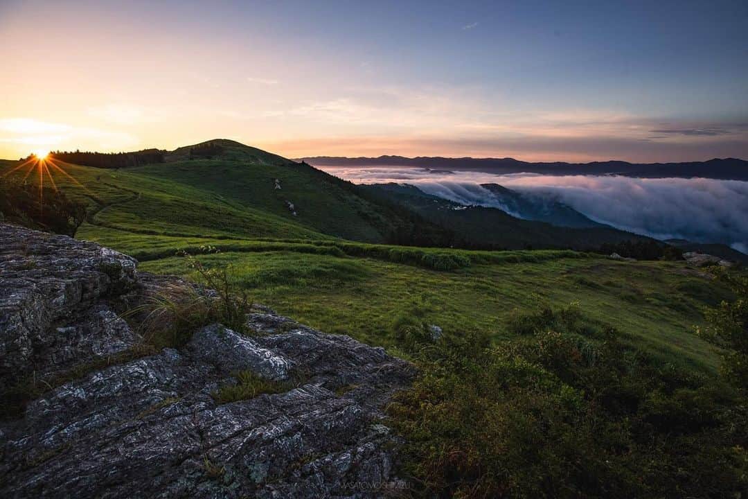 のインスタグラム：「. Sunrise and a sea of clouds wash over the plateau of Oishi-kogen Highland. 📸 @seamizu 📍 Oishi-kogen Highland, Wakayama  . . . . . #discoverjapan #unknownjapan #instajapan #landscape #japan #japantrip #japantravel #beautifuldestinations #wakayama #wakayamagram #explore #adventure #visitwakayama #travelsoon #visitjapan #travelgram #stayadventurous #igpassport #explorejapan #lonelyplanet #sustainabletourism #plateau #nature #traveldeeper #bucketlist #sunrise #oishikogen #seaofclouds #unkai #summerinjapan」