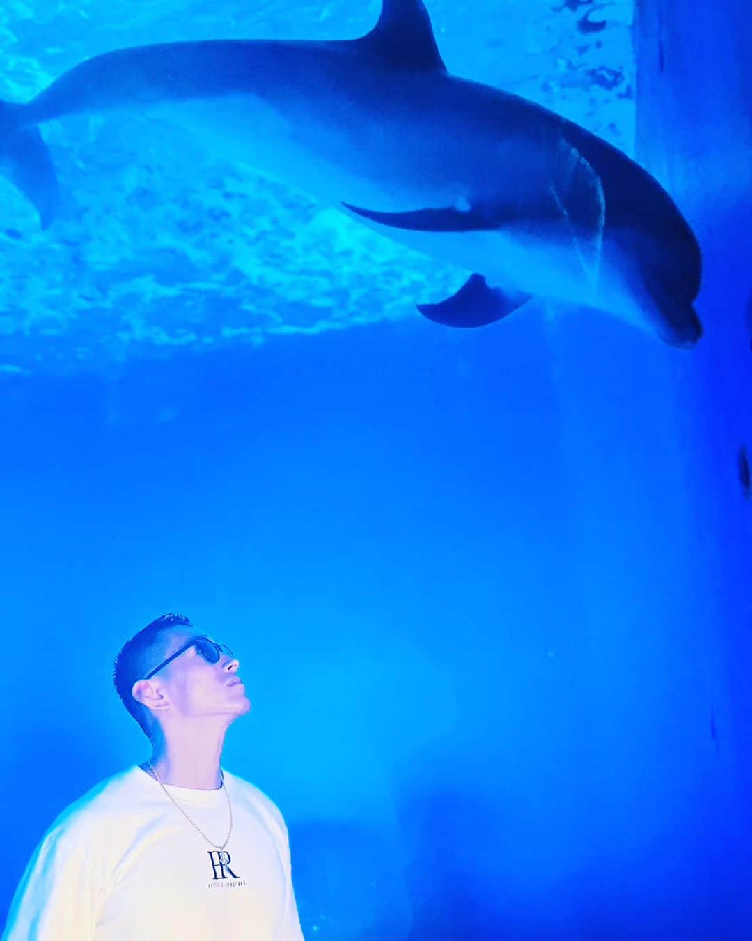 黒石高大のインスタグラム：「暑い日に涼しい水族館最高 イルカさん好き」