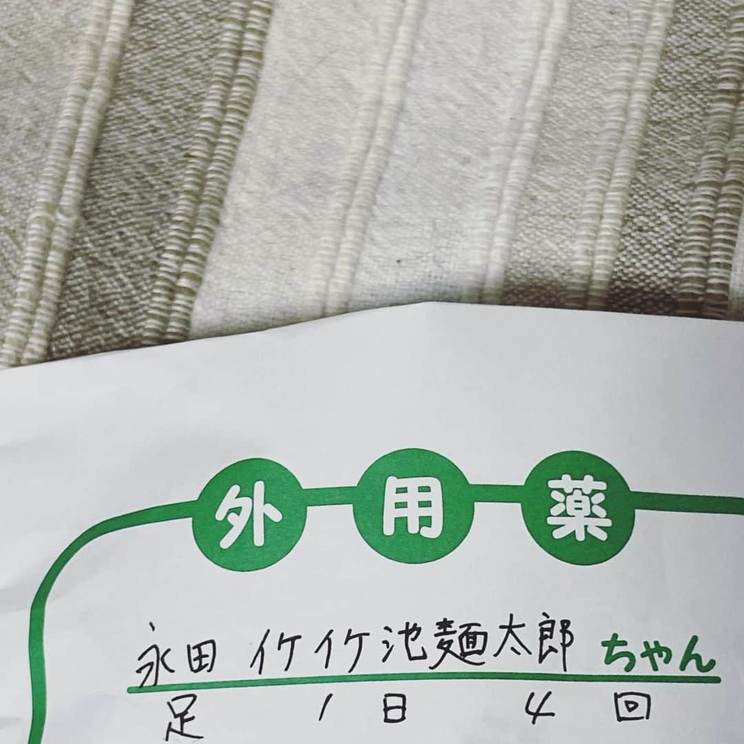 もじゃころさんのインスタグラム写真 - (もじゃころInstagram)「イケイケ池☆麺太郎、今朝できたてアッツアツのお粥におてての先っちょ突っ込んで、肉球3つ（指先3本？）ヤケドしちゃいました😭😭😭😭😭   子猫だからただでさえ皮膚薄いのですごい痛いと思います😢人間でさえちょっとのやけどで痛いのに😣ごめんね😭😭😭😭😭   しばらくは病院で処方してもらったクリームを頻繁に塗って頑張って早く治してあげたいです。   食欲はあるし、シュッとばん子と一緒に走り回るくらいの元気はあるのですが、逆に走り回ると治りが悪くなっちゃうので、しばらくおもちゃはお預けです。   早くよくなりますように…🙏🏻   名前が決まって初の病院だったので看護師さんに「お名前書いてください」と言われ、私としたことが「イケイケ」すら書こうか書くまいかビビってしまって、肝心の☆が書けませんでした…。なので診察券は「イケイケ池麺太郎」となり、「長いのでメンタロウで大丈夫です！」と伝えたので、みんなに「メンタロウくん」と呼ばれていました…🥺   明日も病院に行ってきます。 早くよくなるように頑張ろうね😭✨   #イケイケ池麺太郎」8月28日 18時09分 - mojyacoro96