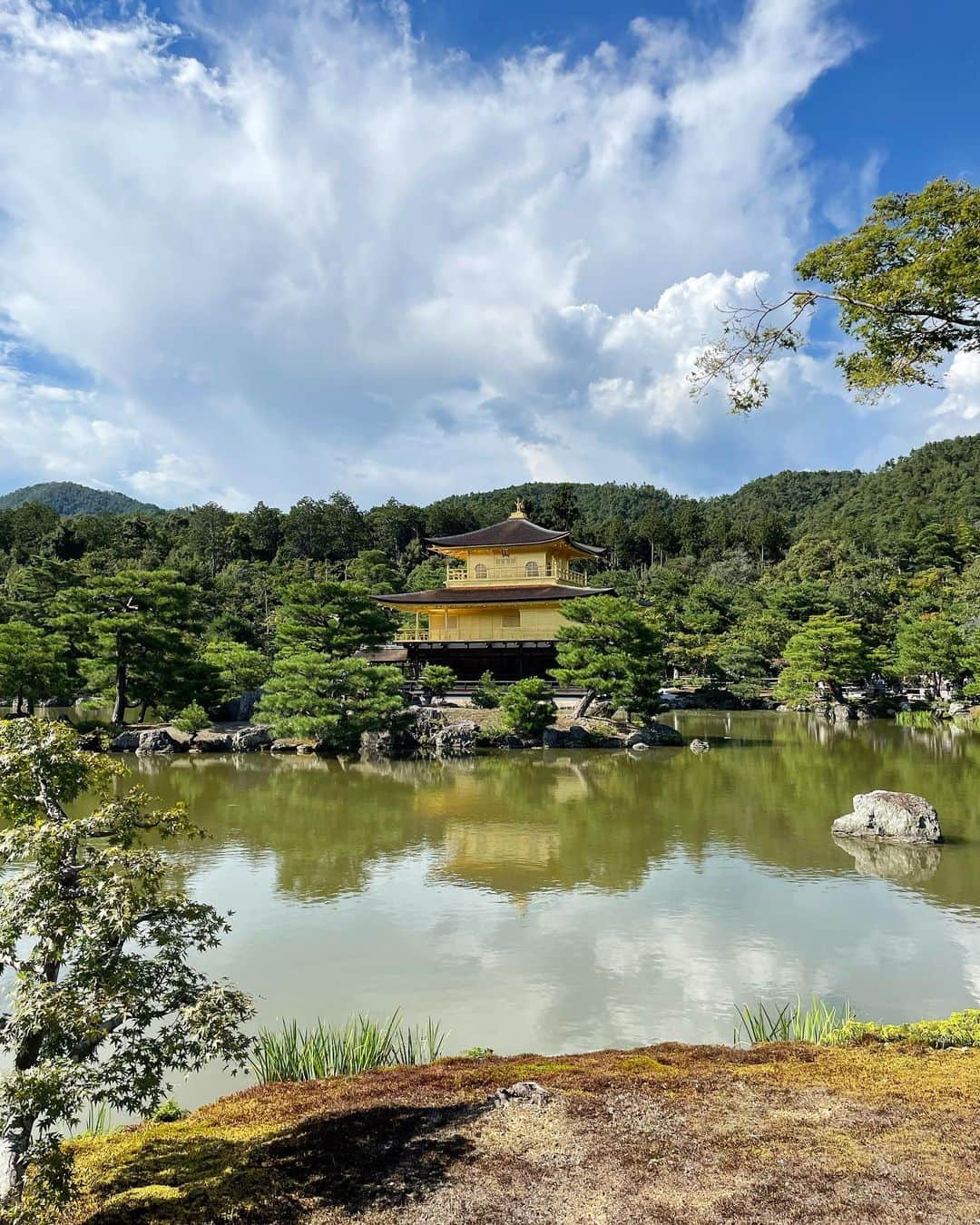 菊地智義さんのインスタグラム写真 - (菊地智義Instagram)「ドラクエウォーク卒業したんですが、地方行った時はお土産クエストだけ気にしてるタイプです。 ってことで、昨日は弾丸で金閣寺へ。 だいぶ“金”でした！ #金閣寺 #お土産クエスト #ドラクエウォーク #陸舟の松 #これも素晴らしかった」8月28日 18時28分 - potatokikuchi2