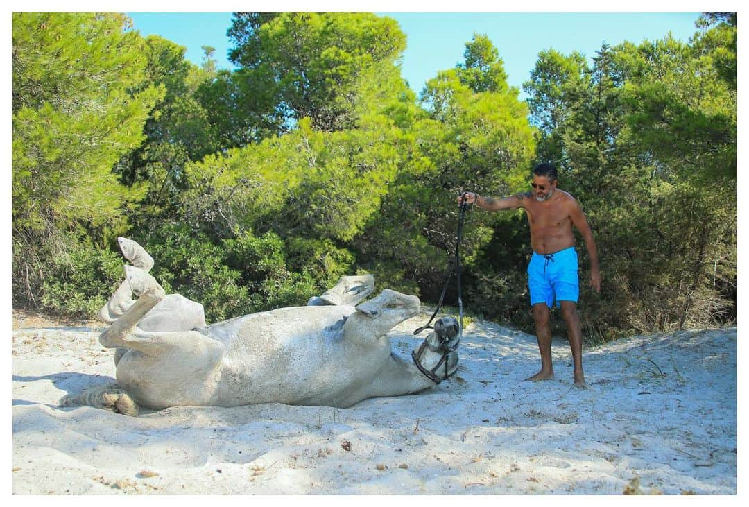 イネス・リグロンさんのインスタグラム写真 - (イネス・リグロンInstagram)「Best way to start the day in Corsica island, if you like to wake up with the sun…. riding with our friends Marina and David and their horses, on the beach and swimming in the sea. You must try it. It is for sure one of the very best feeling in the world! #ranchvillata #corse #portovecchio」8月28日 18時35分 - inesligron