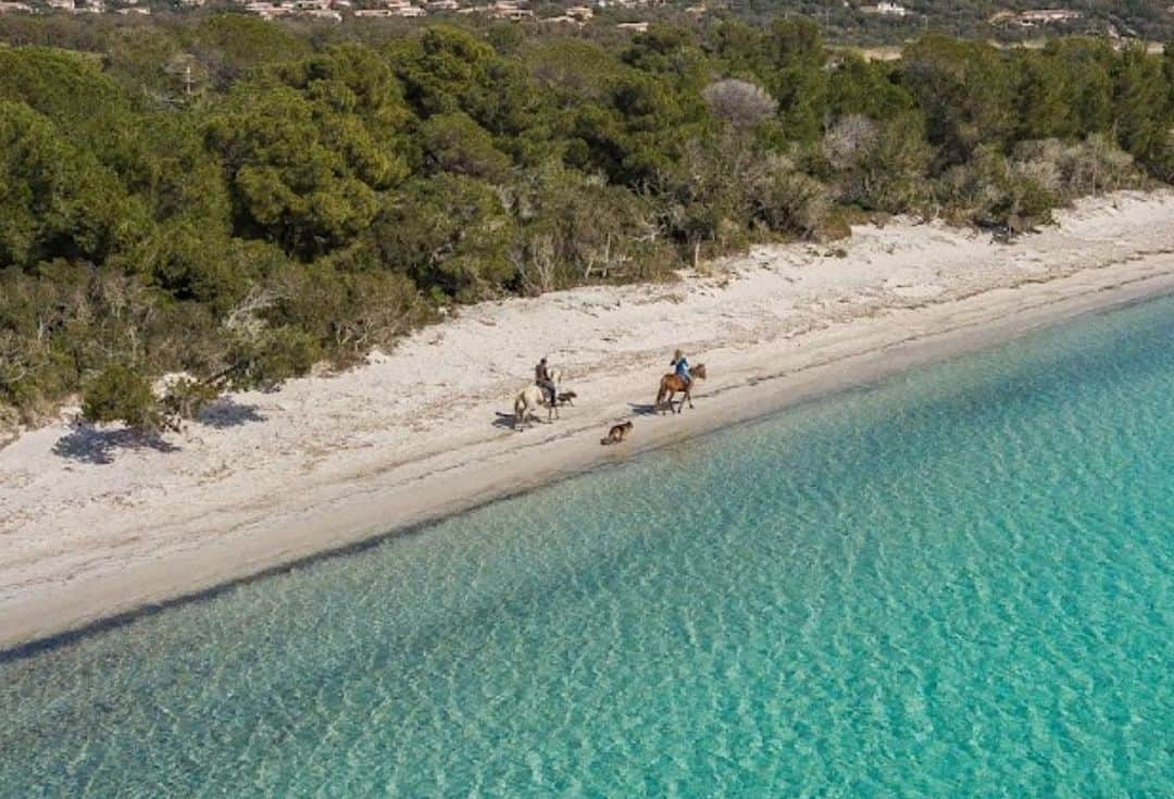 イネス・リグロンさんのインスタグラム写真 - (イネス・リグロンInstagram)「Best way to start the day in Corsica island, if you like to wake up with the sun…. riding with our friends Marina and David and their horses, on the beach and swimming in the sea. You must try it. It is for sure one of the very best feeling in the world! #ranchvillata #corse #portovecchio」8月28日 18時35分 - inesligron