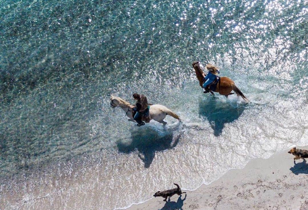 イネス・リグロンさんのインスタグラム写真 - (イネス・リグロンInstagram)「Best way to start the day in Corsica island, if you like to wake up with the sun…. riding with our friends Marina and David and their horses, on the beach and swimming in the sea. You must try it. It is for sure one of the very best feeling in the world! #ranchvillata #corse #portovecchio」8月28日 18時35分 - inesligron