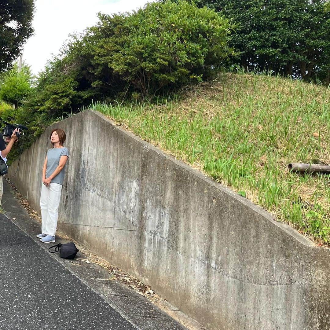 小野真弓さんのインスタグラム写真 - (小野真弓Instagram)「お知らせです📺✨  9月1日(金)よる9時〜 BS朝日 【ネコいぬワイドショー】 2時間スペシャル  ネコいぬの事だけで2時間😆🐾 なんて素敵な番組💓  うちの子たちも 大張り切りで、沢山映して頂きました😆🐾 🦝🐏🐯🐯🐼🐈‍⬛ そして 地域猫活動についても 密着して頂きました🐈^ ^  いつも活動を一緒にしている @wanbo_waka  @soramame723newspaper  ＠地域のみなさま にも、ご協力頂き感謝です🥺  たのしいこと、 面白いこと、 癒されること、 考えさせられること、  いろーんなネコいぬの事 盛りだくさんです☺️😺🐶✨  是非ご覧ください^ ^  #BS朝日 #ネコいぬワイドショー #可愛いだけでなく責任をもって飼育すること #テーマ #見逃し配信もあります  #地域猫活動#TNR #人と猫の暮らしをよくする #猫にまつわるトラブルをなくす #悲しい想いをする猫をなくす  #犬と猫のいる暮らし #犬猫日記 #自宅撮影#直前#そわそわ#うろうろ #マネージャーさんの声に張り切るみんな#スタンバイok #ネコ#いぬ#主役」8月28日 9時50分 - hanaharuaroi