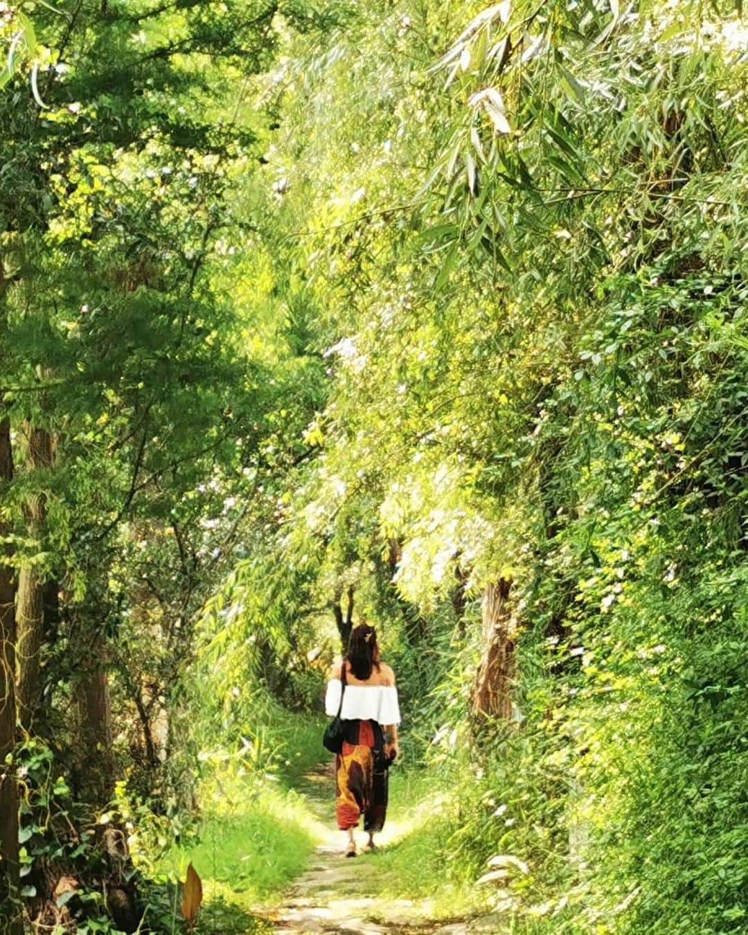 ローラ・ゼンさんのインスタグラム写真 - (ローラ・ゼンInstagram)「寻根～ an end to my soul-searching, past-reflecting homecoming back to China, after almost 20 years 🌱🐲🪷」8月28日 9時51分 - toss_and_catch