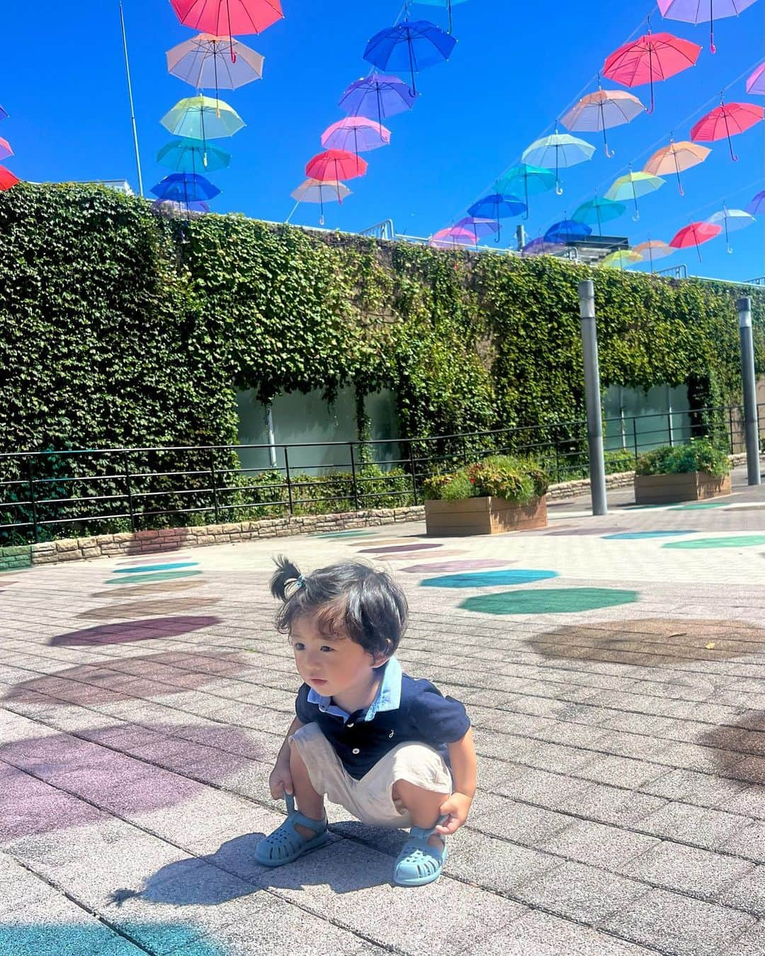 Ayaさんのインスタグラム写真 - (AyaInstagram)「淡路🚗⛱☀️ 淡路島国営明石海峡公園で 水浴び⛲️して2人は帰りの車爆睡😪 行きたかったcoffee屋さんよって 帰りに虹🌈みれたー🤍HAPPY  #夏の思い出#淡路#夢舞台#AWAJI#家族#淡路島国営明石海峡公園#水浴び#子供とお出かけ#ママコーデ#私服#ワンピース#ワンコとお出かけ#ビションフリーゼ#トイプードル」8月28日 9時53分 - aya__fit