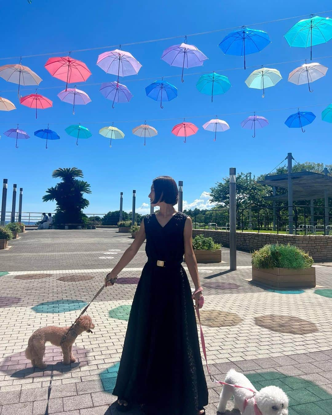 Ayaさんのインスタグラム写真 - (AyaInstagram)「淡路🚗⛱☀️ 淡路島国営明石海峡公園で 水浴び⛲️して2人は帰りの車爆睡😪 行きたかったcoffee屋さんよって 帰りに虹🌈みれたー🤍HAPPY  #夏の思い出#淡路#夢舞台#AWAJI#家族#淡路島国営明石海峡公園#水浴び#子供とお出かけ#ママコーデ#私服#ワンピース#ワンコとお出かけ#ビションフリーゼ#トイプードル」8月28日 9時53分 - aya__fit