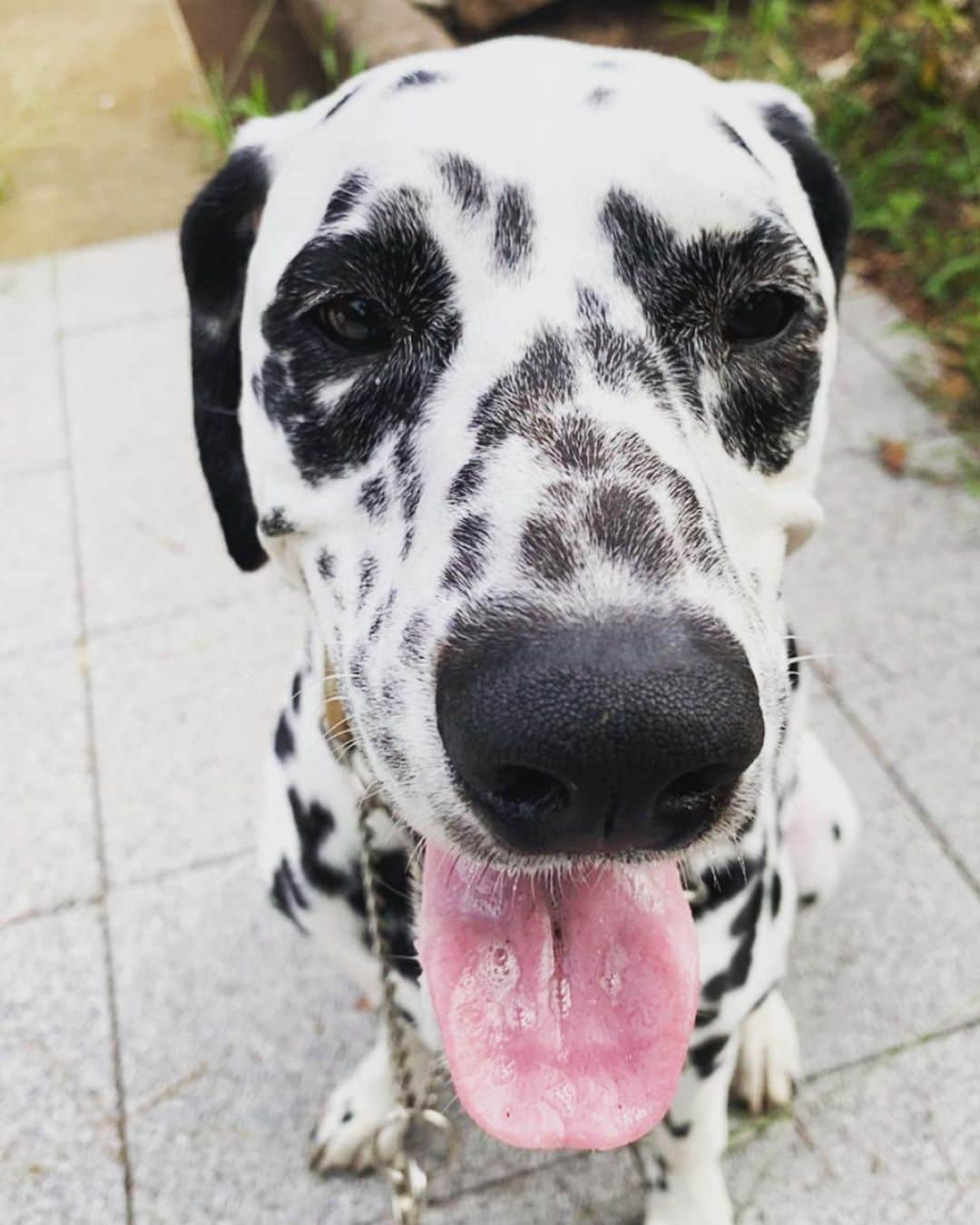 高岡早紀 さんのインスタグラム写真 - (高岡早紀 Instagram)「おーはよ。 今日はムシムシですが、良き日をお過ごしくださいねー」8月28日 10時28分 - saki_takaoka