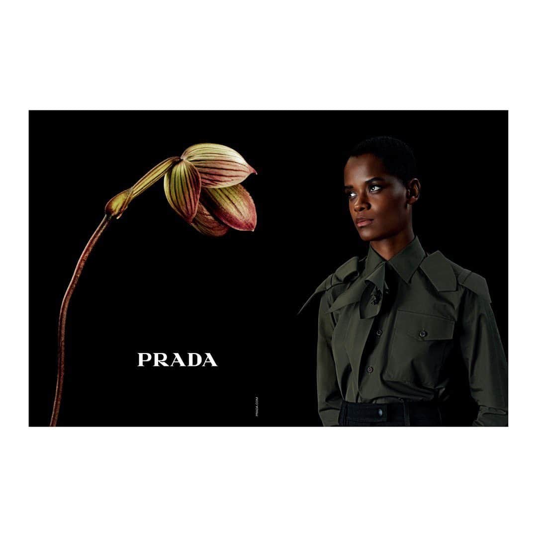 commons&senseのインスタグラム：「. PRADA AW2023-2024 ADVERTISING CAMPAIGN  commons&sense ISSUE65 #PRADA @prada」