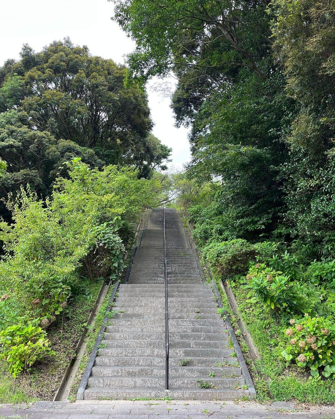 丸山城志郎さんのインスタグラム写真 - (丸山城志郎Instagram)「320段 良い階段見つけた 👟🇨🇭 @on.japan」8月28日 11時30分 - joshiromaruyama