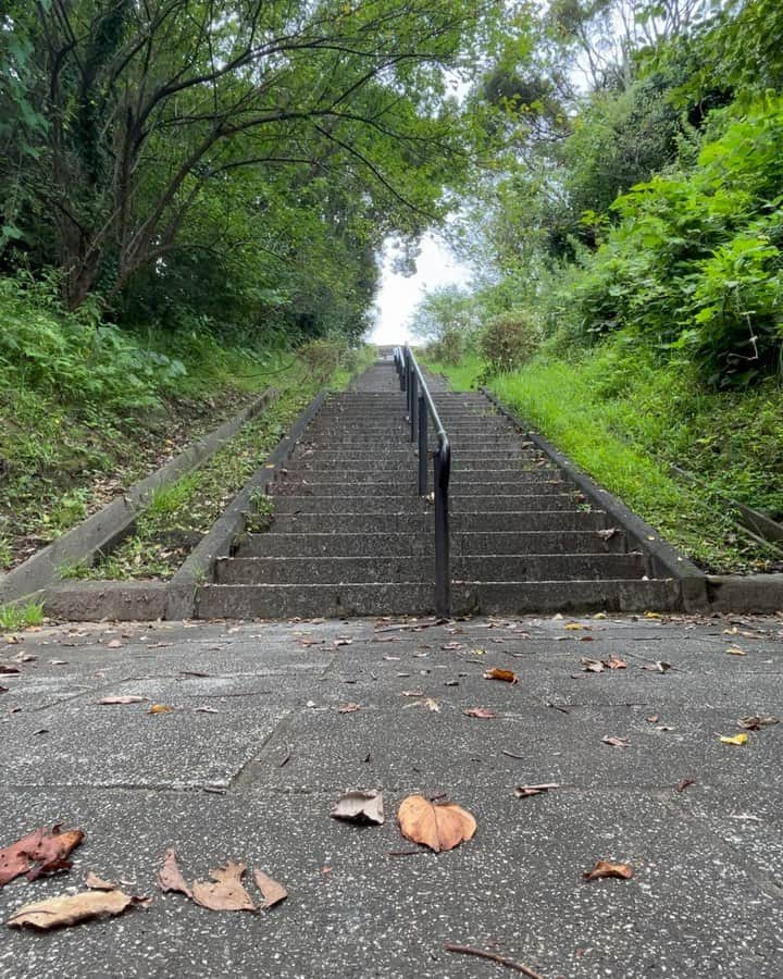 丸山城志郎のインスタグラム：「320段 良い階段見つけた 👟🇨🇭 @on.japan」