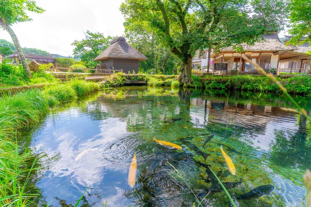旅行比較サイト・トラベルコ 理想の旅を、いちばん安く。のインスタグラム：「#忍野八海 / 山梨  池の底まで見えるほど透き通った富士山水の池と富士山の風景が美しい忍野八海✨  かつて忍野村は湖でしたが、富士山の噴火活動が何度かあり、残った湧水池が今の忍野八海になったといわれています。  国の天然記念物と名水百選、そして世界文化遺産に指定されており、涼しげな雰囲気を感じられます🙆  ━━━━━━━━━━━ 📍 #忍野八海 （山梨県南都留郡忍野村） ━━━━━━━━━━━ 忍野八海の詳しいスポット情報はこちら👇 https://www.tour.ne.jp/j_spot/127894/  Photo: PIXTA  ********** あなたが旅先で出合った素敵な風景に #トラベルコ または #travelko をつけて投稿してみてください📷 こちらのアカウントで紹介させていただくかも！  投稿を見て「行きたい！」と思ったら保存でクリップ。 フォロー＆いいねもお願いします🌟  ********** 国内海外1500以上の旅行サイトをまとめて比較！ 旅行の最安値を探すなら「トラベルコ」  プロフィール欄のURLから早速検索🔍 @travelko_official  #富士山 #忍野村 #oshinohakkai #山梨 #山梨県 #山梨旅行 #山梨観光 #国内旅行 #日本の絶景 #japantrip #japantravel #絶景 #フォトジェニック #ファインダー越しの私の世界 #誰かに見せたい景色 #旅行好きな人と繋がりたい #写真好きな人と繋がりたい #女子旅 #一人旅 #旅行好き #旅 #旅行 #観光 #trip #travelko #トラベルコ」